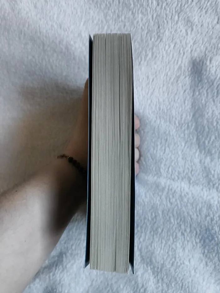Livre "Havenfall" - photo numéro 2