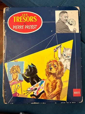 Les trésors de Pierre Probst Hachette Jeunesse pouf noiraud auteur Caroline album livre rare