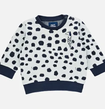 Pull 6 mois en coton Petit Bateau
