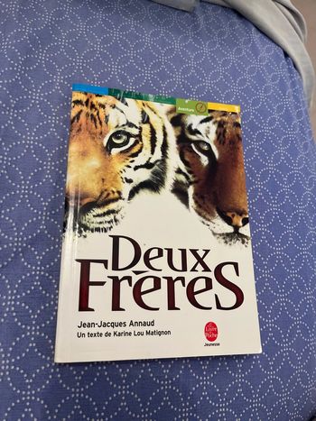 Livre les deux Freres