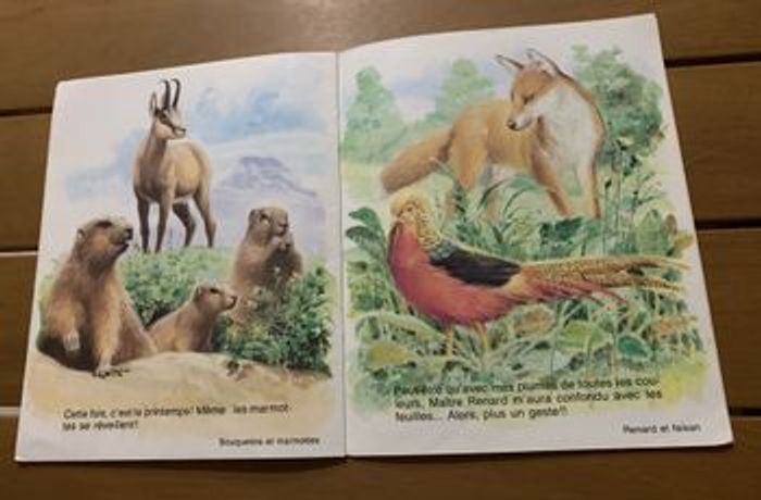 Amis d’ici et d’ailleurs - photo numéro 8