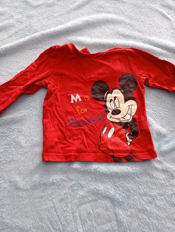 tee shirt