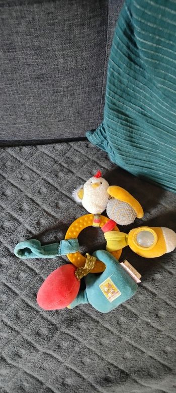 Hochet les cousins moulin roty