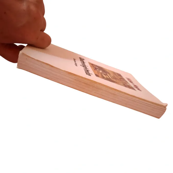 Livre quatrevingt-treize Victor Hogo - photo numéro 2