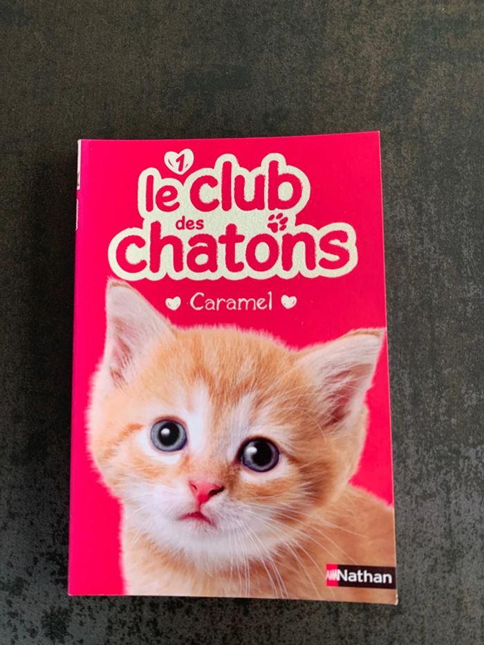 Livre enfant - photo numéro 2