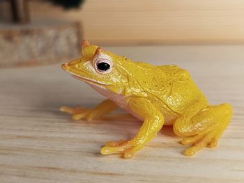 Figurine grenouille jaune Animal de la campagne