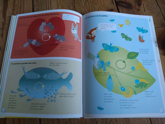 Livre sur les animaux - photo numéro 4