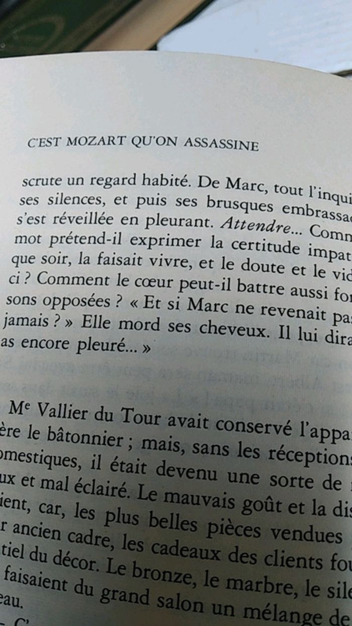 C'est Mozart qu'on assassine - photo numéro 5