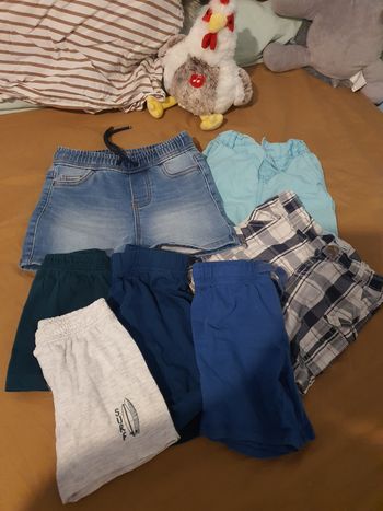 Lot shorts