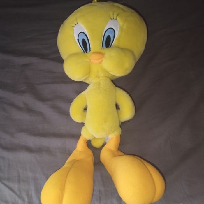 Titi  et gros minet