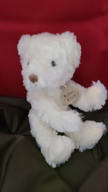 doudou ours blanc histoire d ours