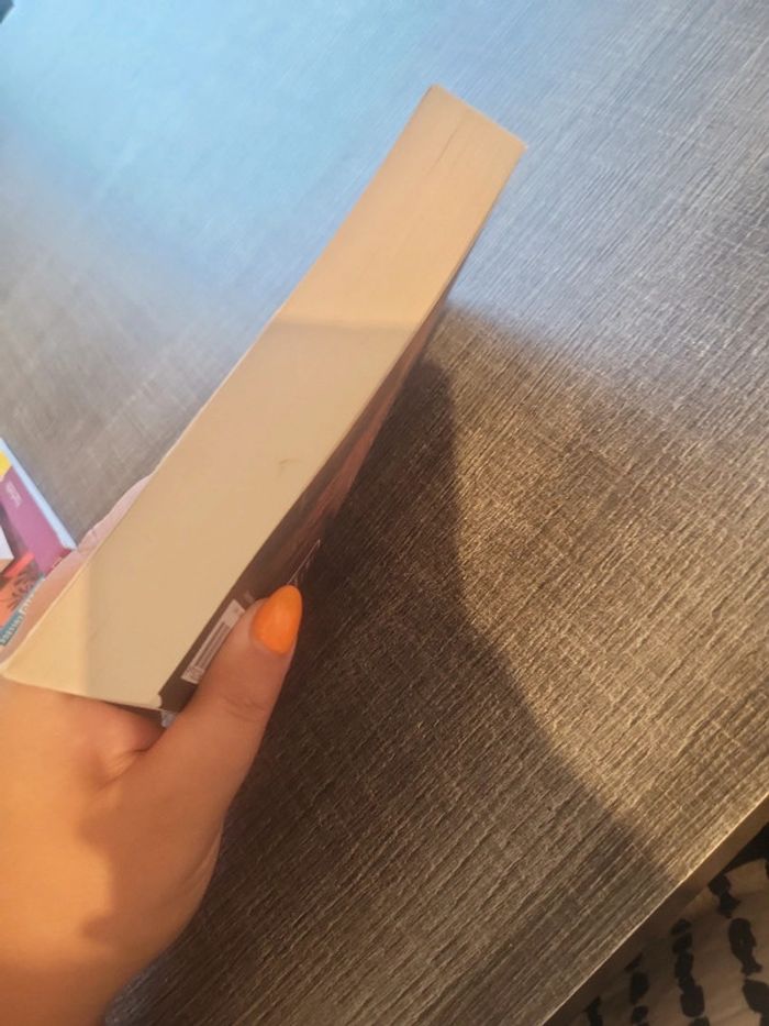Livre Neo la chute du soleil de fer - photo numéro 2