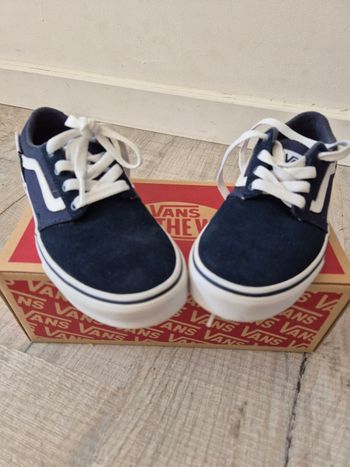 Basket Vans