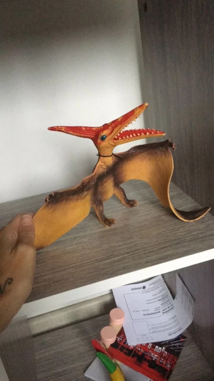 Dinosaure avec ailes - photo numéro 2