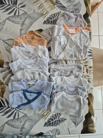 Lot de 17 boby manches longues 1 mois