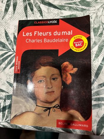 Les fleurs du mal