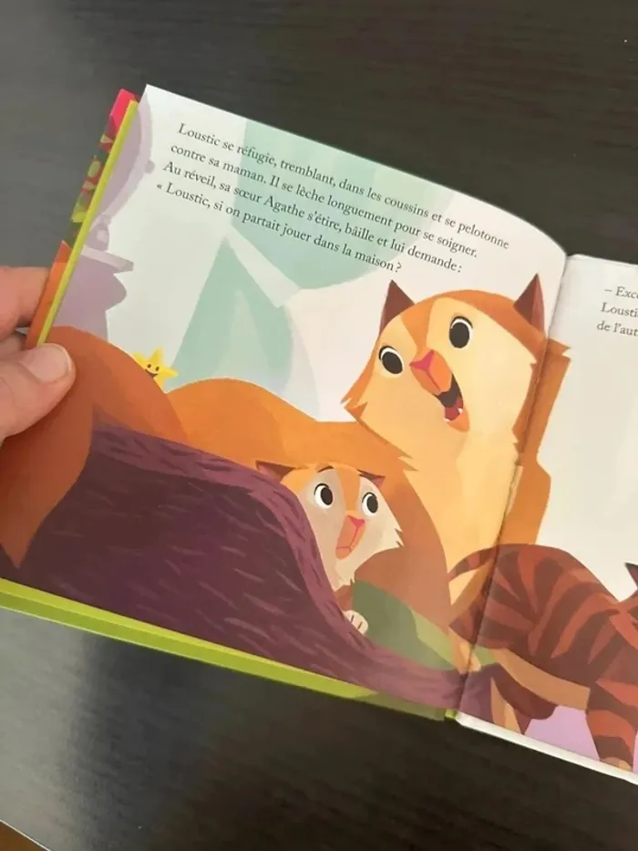 Chat échaudé craint l’eau froide livre McDo - photo numéro 5