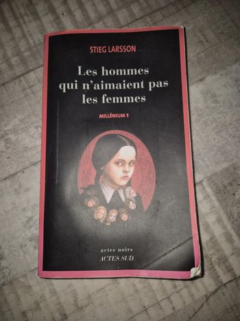 Millénium 1 les hommes qui n'aiment pas les femmes