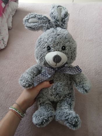 Lapin gris 