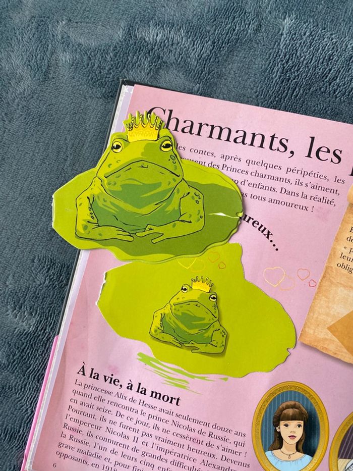 Livre encyclopédie incroyables princesses - photo numéro 3