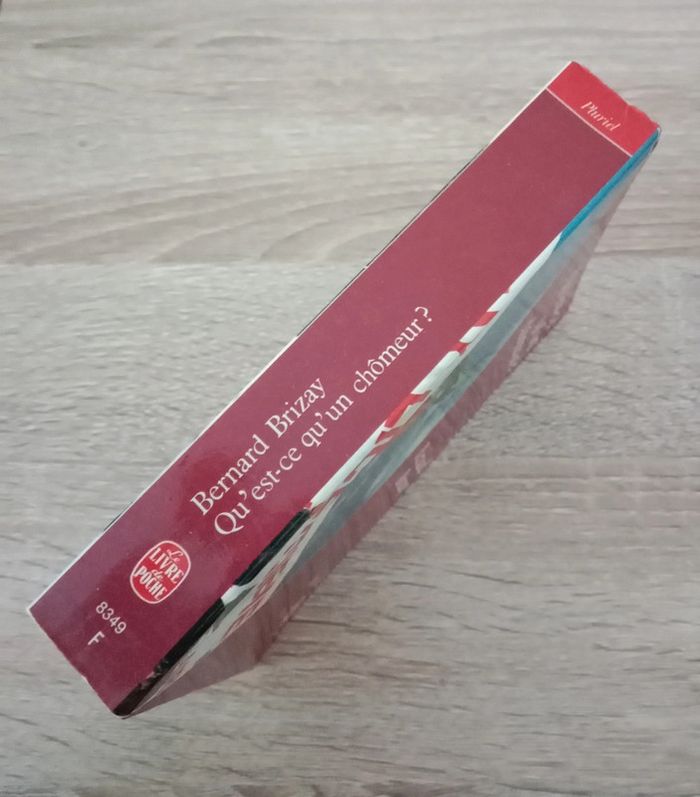 Bernard Brizay 📚 Qu'est-ce qu'un chômeur? - photo numéro 3