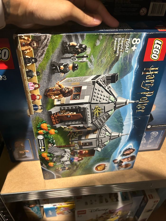Lego Harry Potter 75947 complet