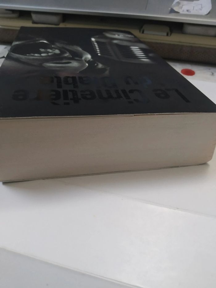 Le cimetière du diable - photo numéro 3