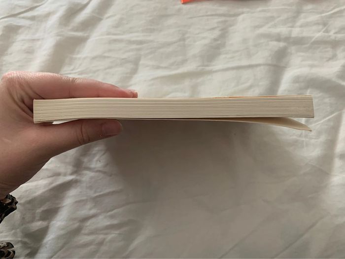 Livre Le paradis des tortues Emmanuelle Marie - photo numéro 5