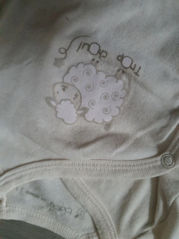 Lot bodies 1mois - photo numéro 2