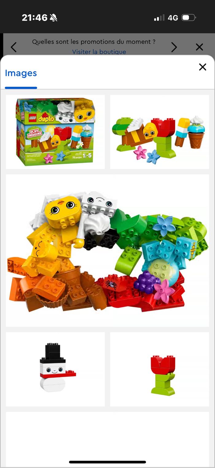 Constructions créatives LEGO DUPLO 10817