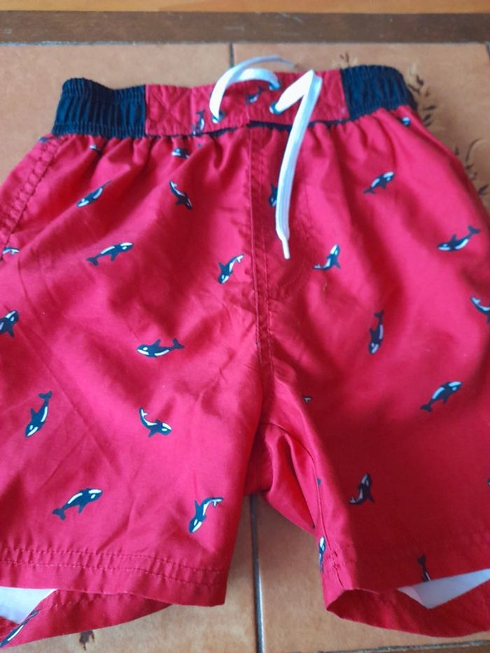 Shorts poissons - photo numéro 8