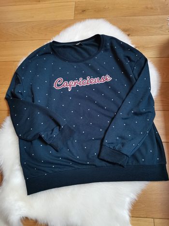 Pull leger Capricieuse | taille L