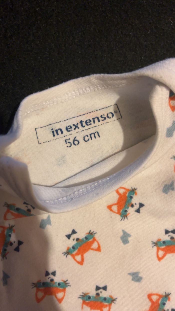 Bodie 1 mois - photo numéro 3