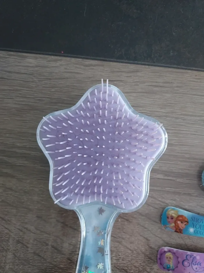 Brosse reine des neige - photo numéro 2