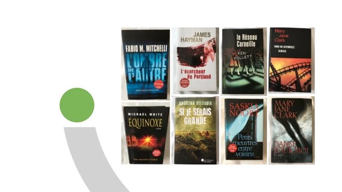 Livres Thrillers et Polars - photo numéro 2