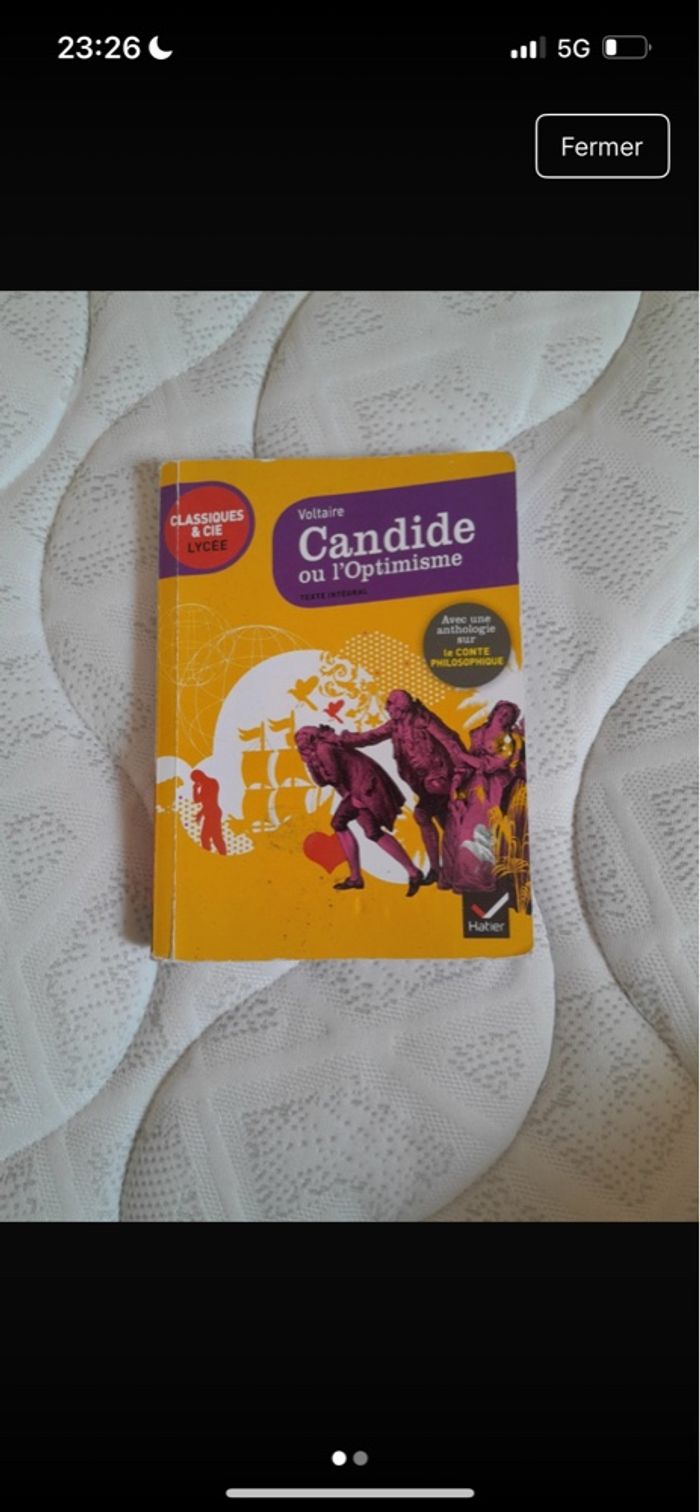 candide ou l’optimisme - voltaire - photo numéro 2