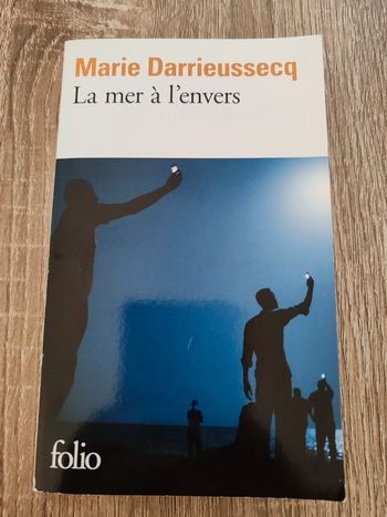 Marie Darrieussecq 🌸 La mer à l'envers