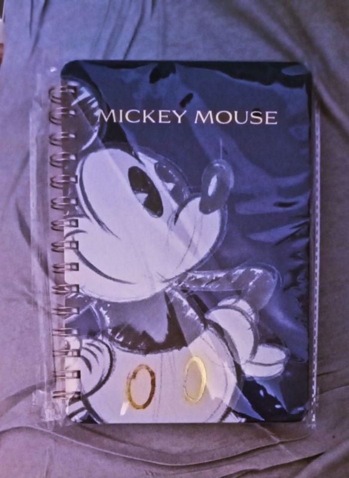 Mickey notebook