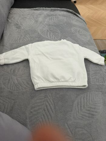 Pull Le Roi lion