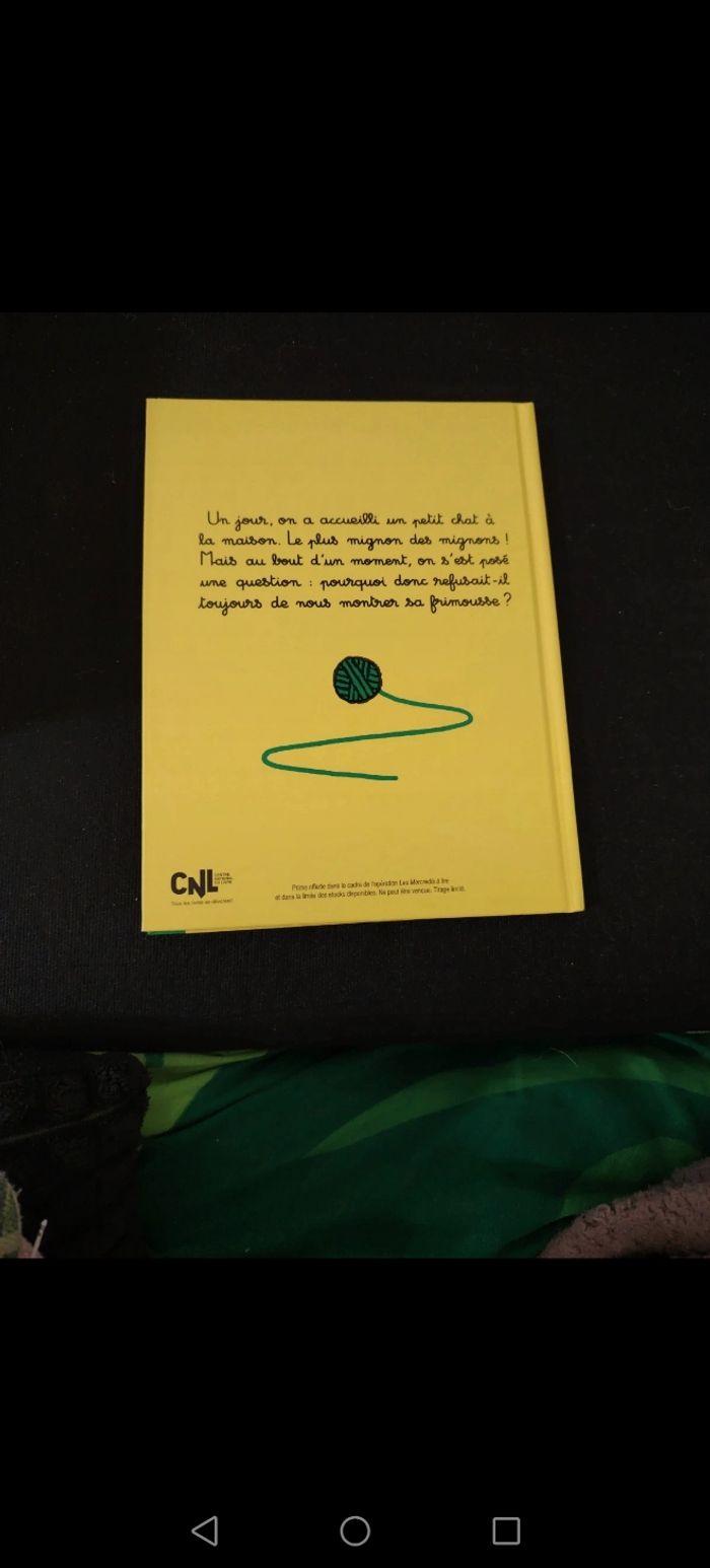 Le chat le plus mignon du monde - photo numéro 2