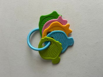 lot d'anneau de dentition poisson