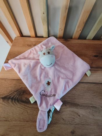 Âne cheval rose Corsica