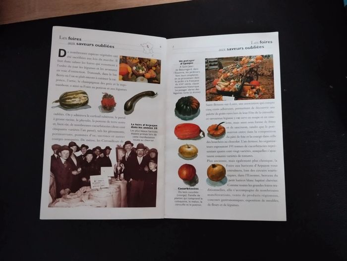 Lot de 2 livres guides Galimard - photo numéro 5