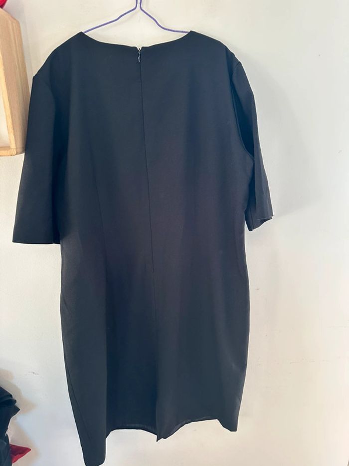 Sublime, robe noire, berger du Nord, taille 46 - photo numéro 5