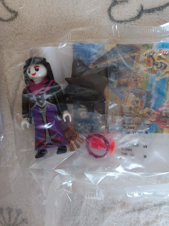 Perso Playmobil - photo numéro 4