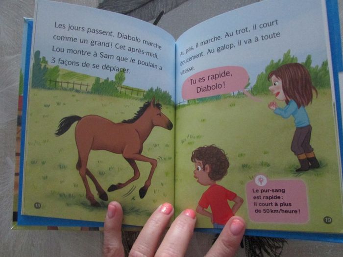 Livre Les docs de Lou Tout sur les chevaux niveau 3 - photo numéro 5