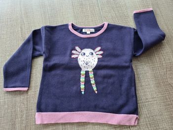 Pull DPAM 2 ans en très bon état