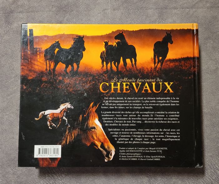 Le Monde fascinant des chevaux Magali Guenette - photo numéro 7
