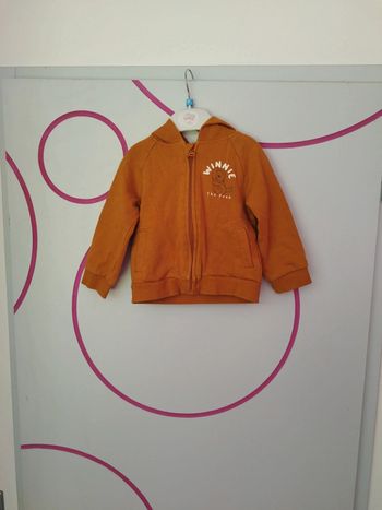 Veste zippée b5