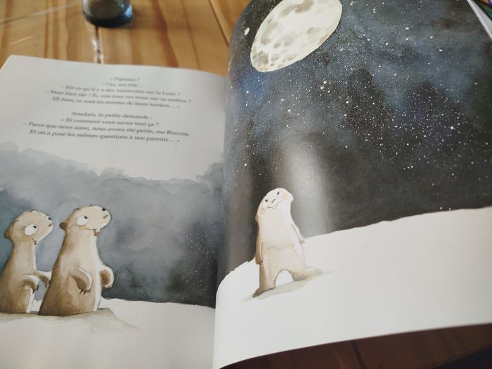 Petite marmotte à la bougeotte - photo numéro 7